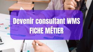 consultant WMS métier